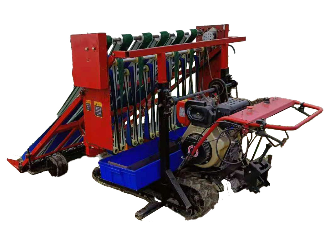 小青菜有序收获机